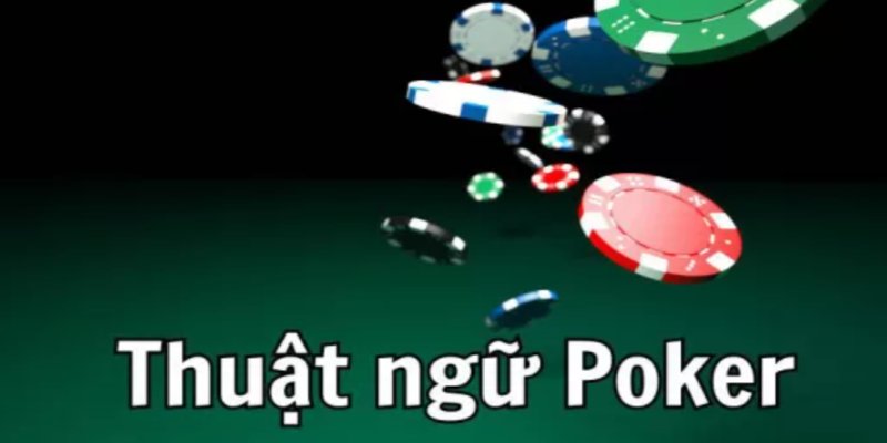 Có những thuật ngữ chỉ người chơi Poker 